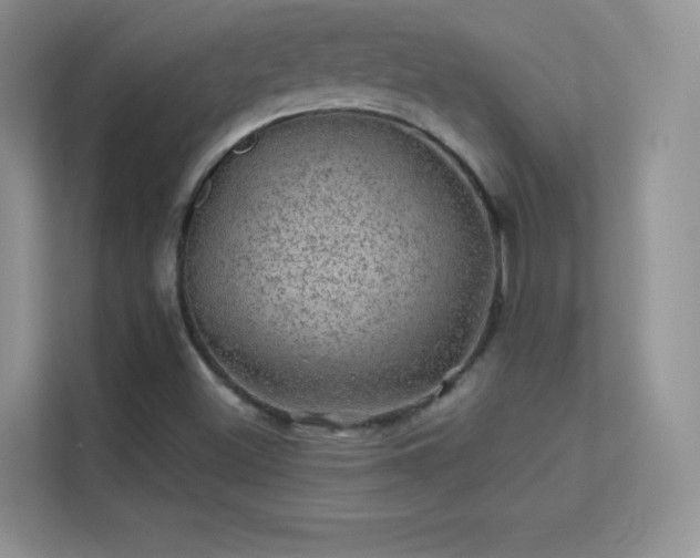 X0000113571500200909251124