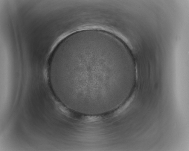 X0000113571501200909251124