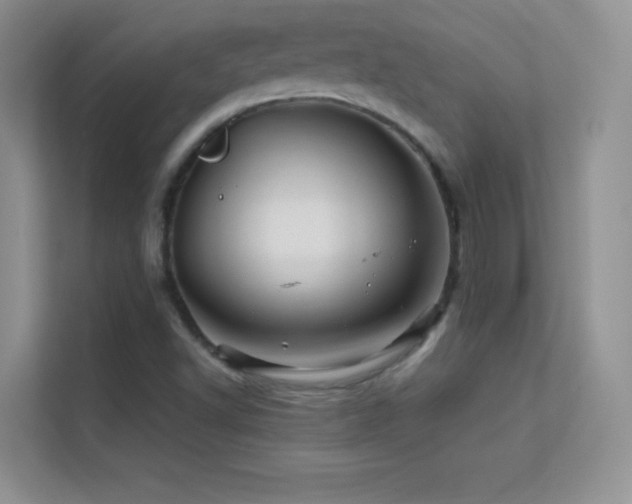 X0000113571502200909251124