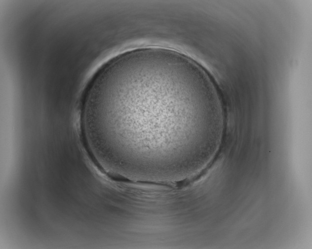 X0000113571503200909251124