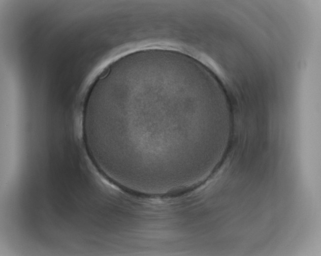 X0000113571504200909251124