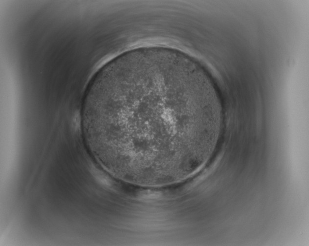 X0000113571505200909251124