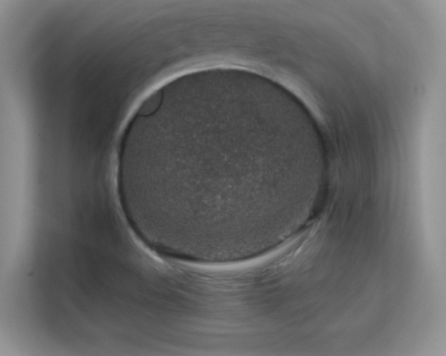 X0000113571508200909251124