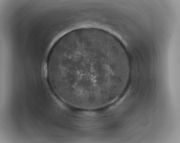 X0000113571509200909251124