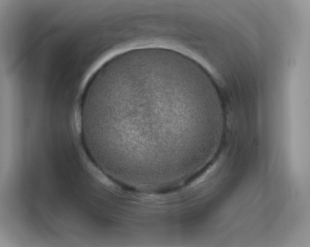 X0000113571510200909251124