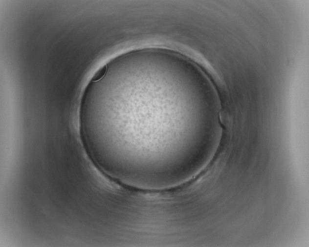 X0000113571512200909251124