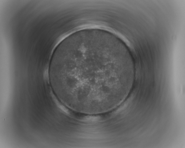 X0000113571513200909251124