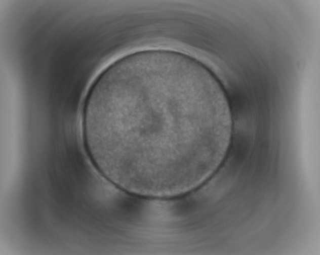 X0000113571514200909251124