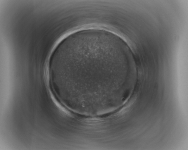X0000113571515200909251124