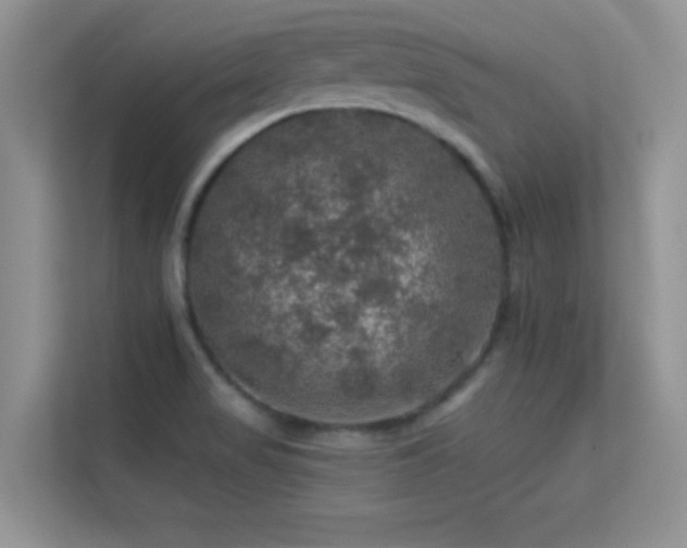 X0000113571517200909251124