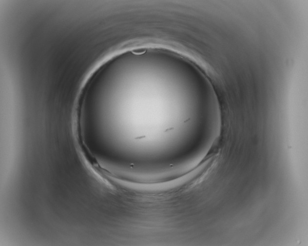 X0000113571518200909251124