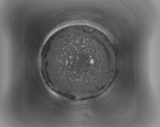 X0000113571519200909251124