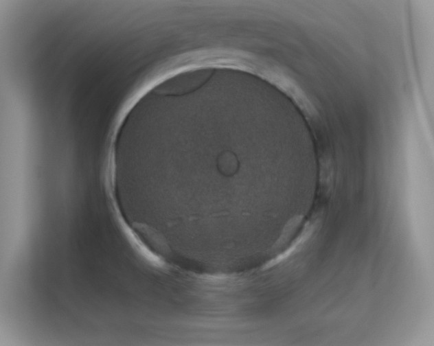 X0000113571520200909251124