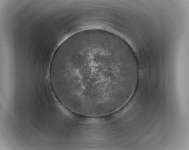 X0000113571521200909251124