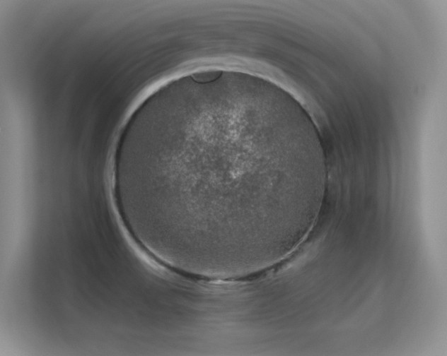 X0000113571523200909251124