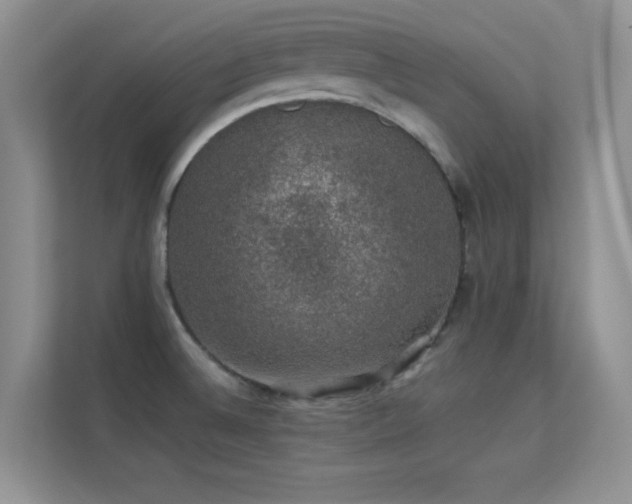 X0000113571524200909251124