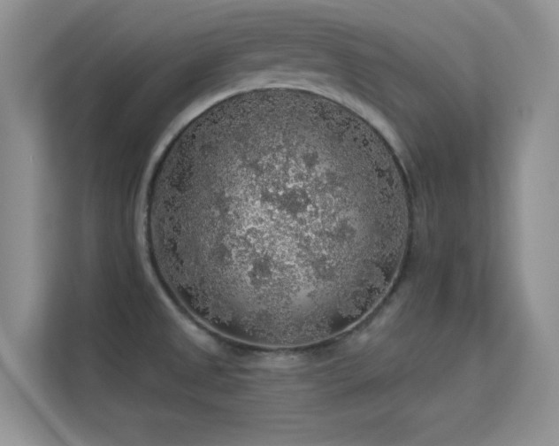 X0000113571525200909251124