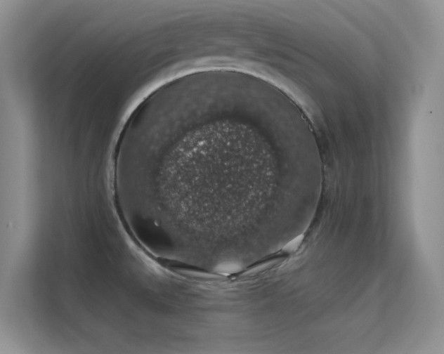 X0000113571527200909251124