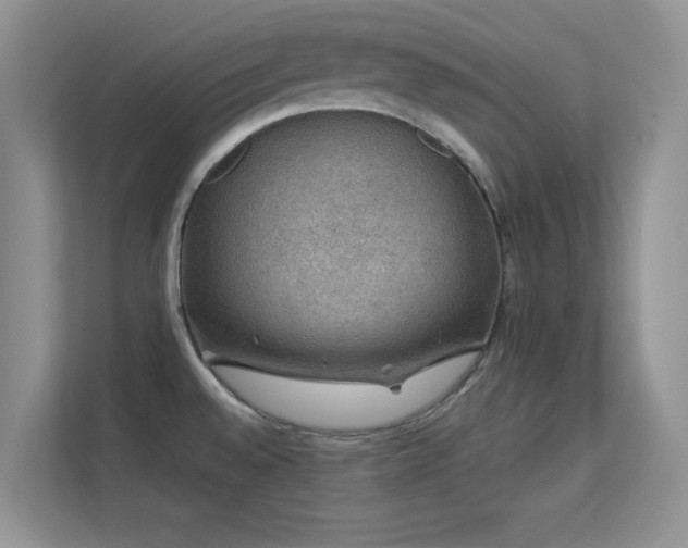 X0000113571528200909251124