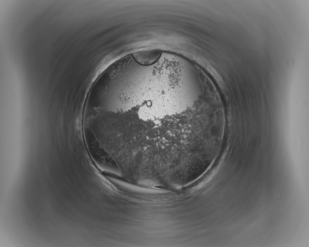 X0000113571529200909251124