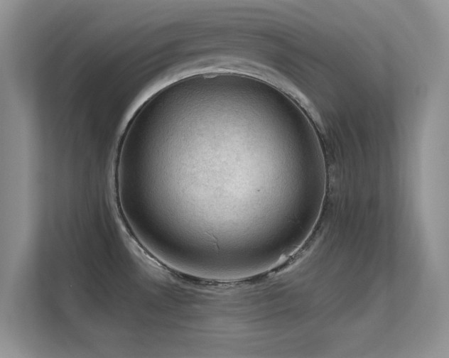 X0000113571530200909251124
