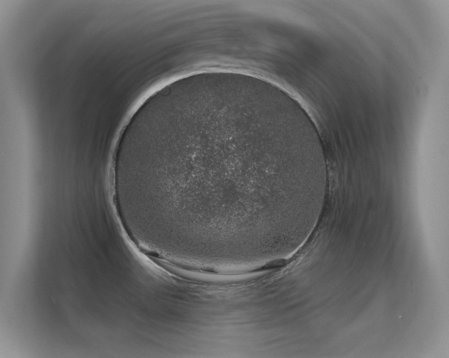 X0000113571531200909251124