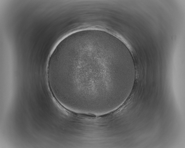 X0000113571532200909251124