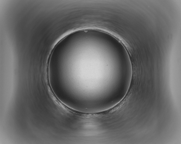 X0000113571534200909251124