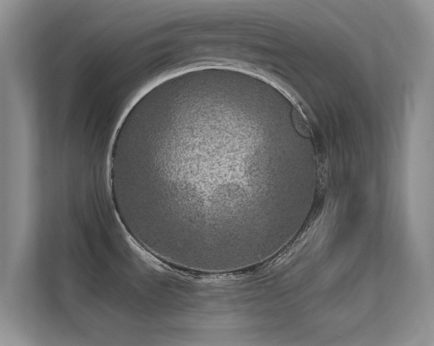 X0000113571535200909251124
