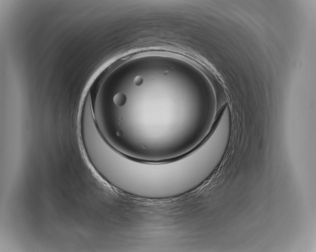X0000113571536200909251124