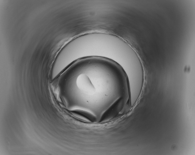 X0000113570001200910021640