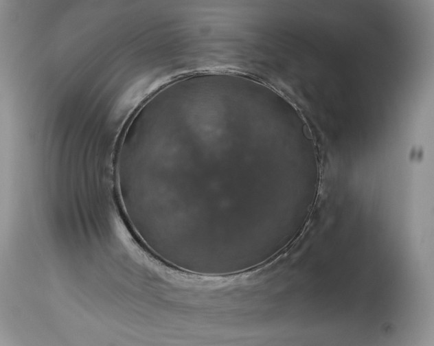 X0000113570002200910021640