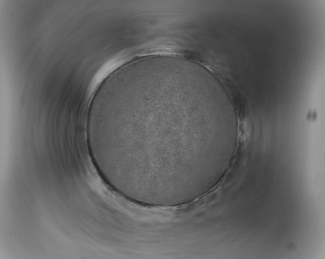 X0000113570004200910021640