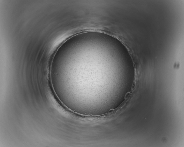 X0000113570005200910021640