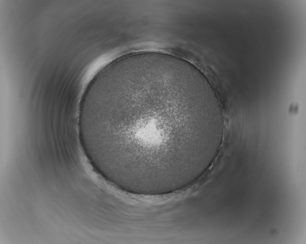 X0000113570006200910021640