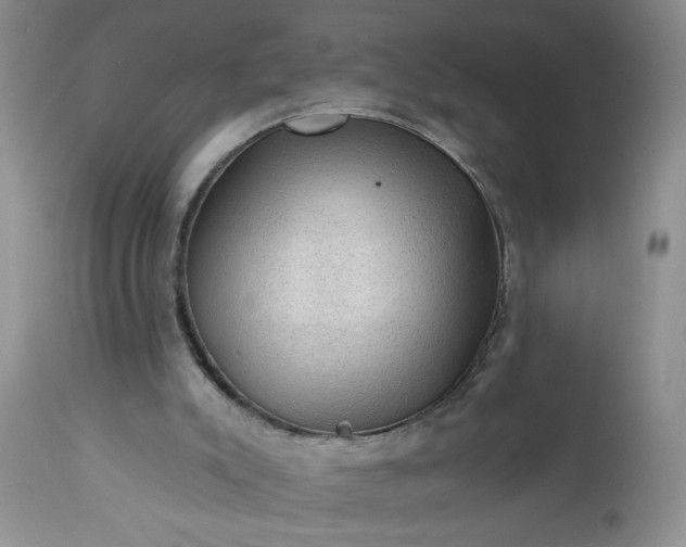 X0000113570007200910021640