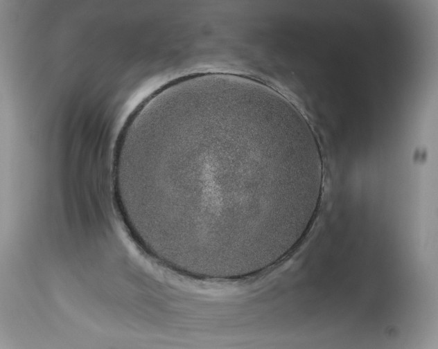 X0000113570008200910021640