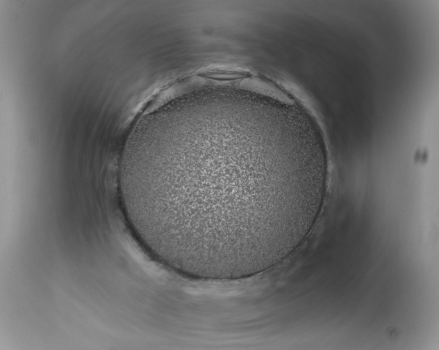 X0000113570009200910021640