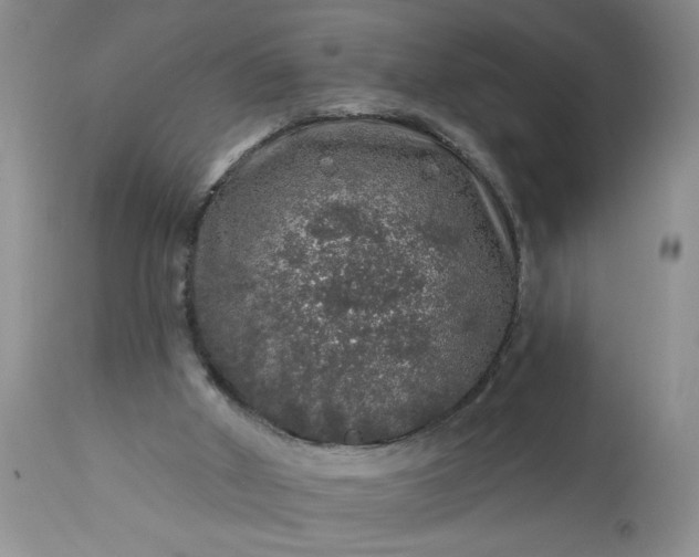 X0000113570010200910021640