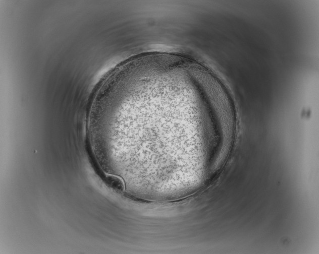 X0000113570011200910021640