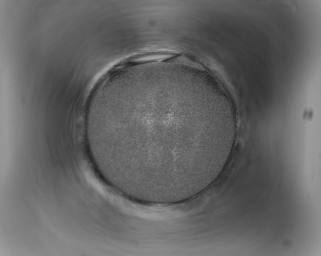 X0000113570012200910021640