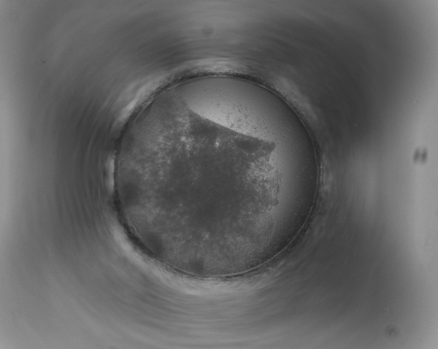 X0000113570014200910021640