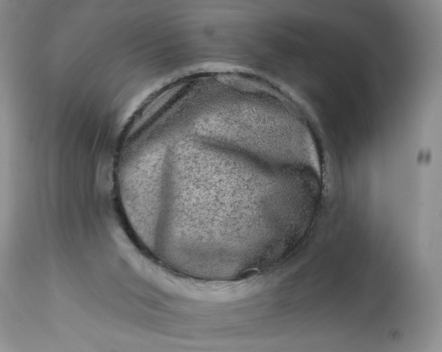 X0000113570015200910021640