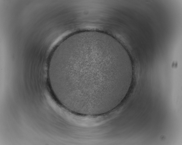 X0000113570016200910021640