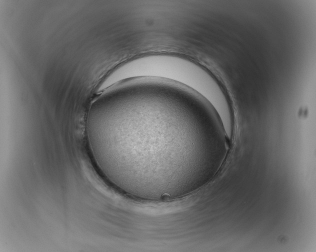 X0000113570017200910021640