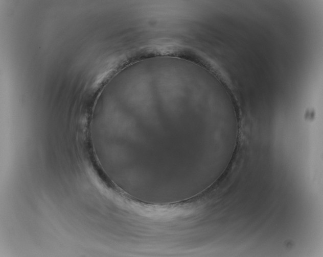 X0000113570018200910021640