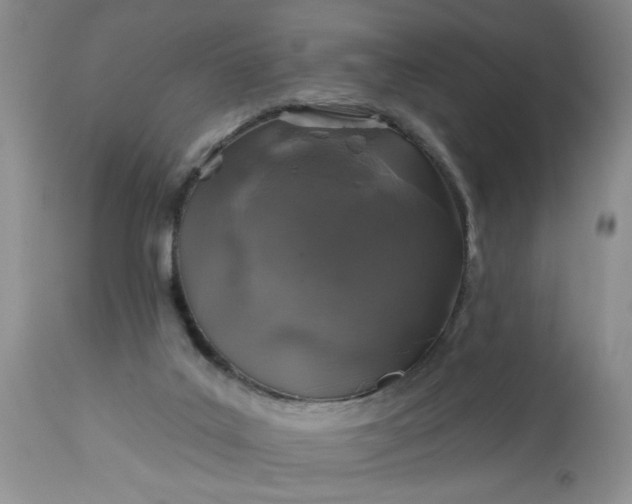 X0000113570019200910021640