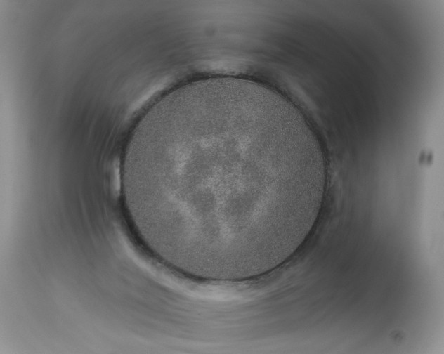 X0000113570020200910021640