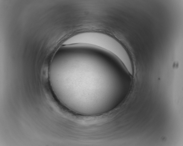 X0000113570021200910021640