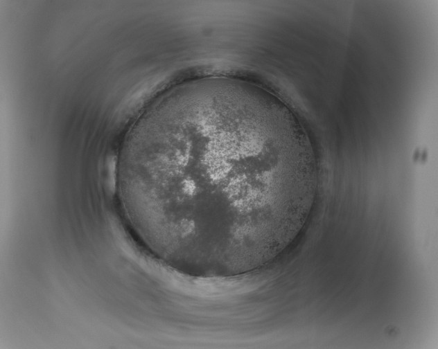 X0000113570022200910021640